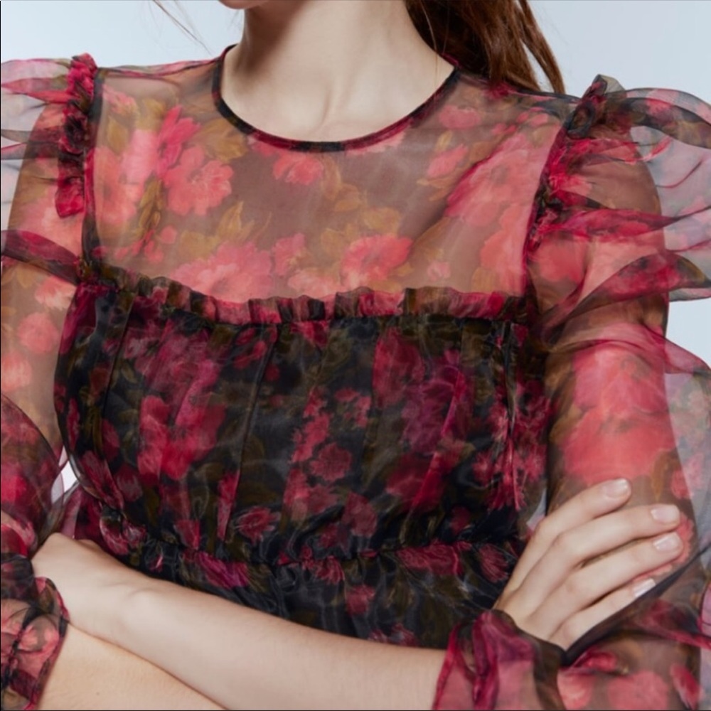 Zara Organza Semi Sheer Floral Blouse